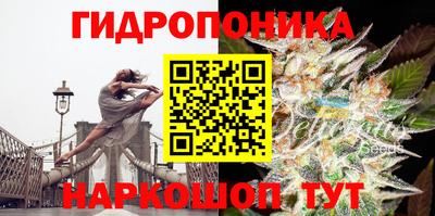 a pvp Краснодар