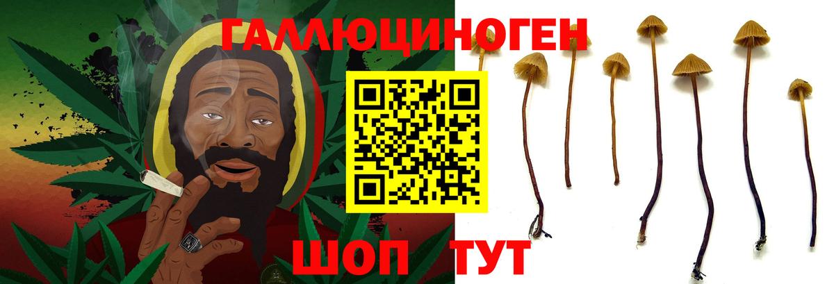 Псилоцибиновые грибы мицелий  Вход с VPN  закладки  Вичуга 